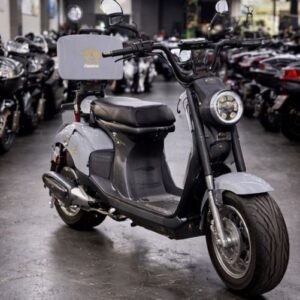 Scooter Elétrica Moto X13 1000w Cinza Autopropelido – Sem Cnh